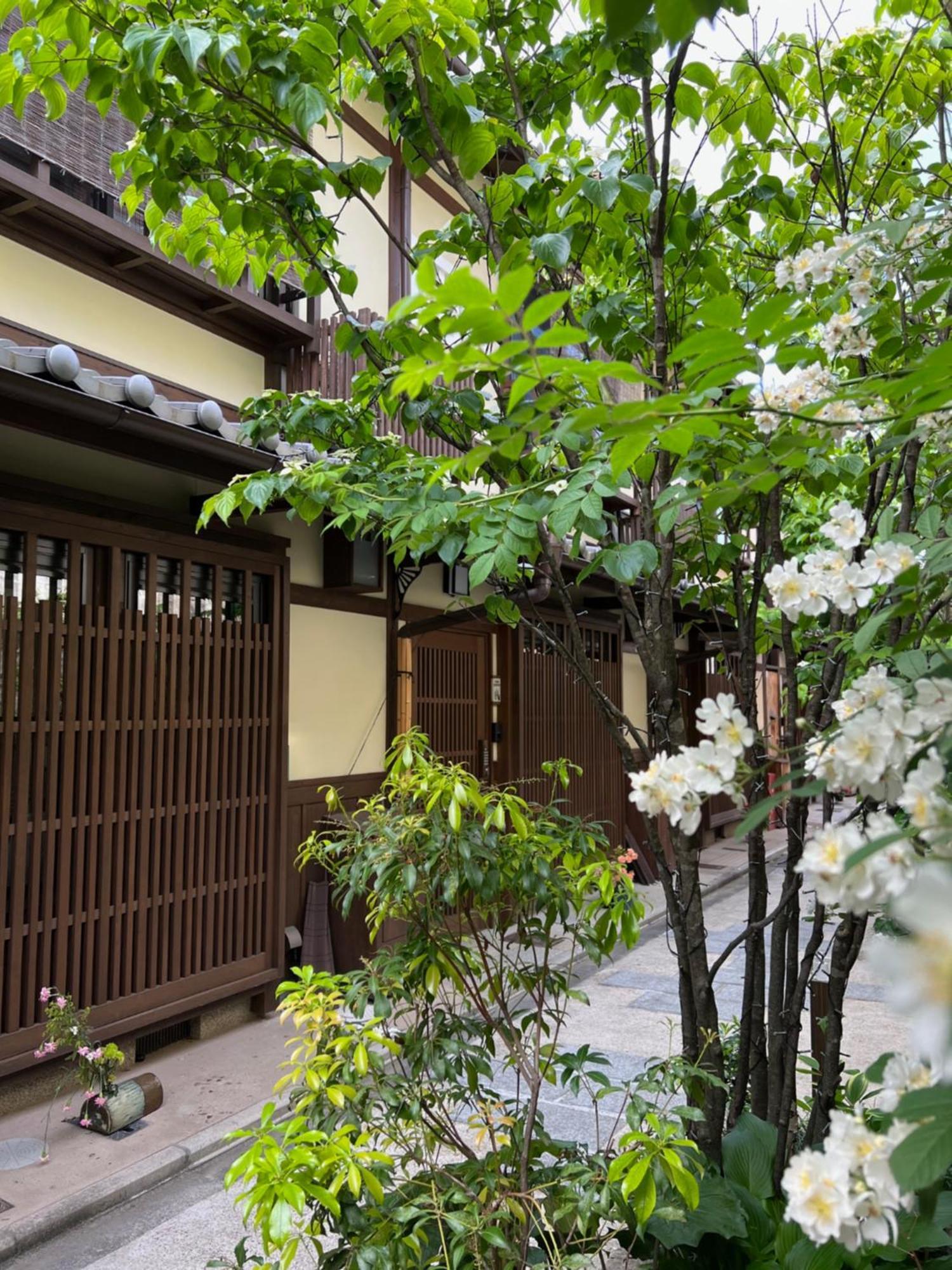 Imakumano Terrace - Eisen An 潁川庵 Villa Kyoto Eksteriør billede
